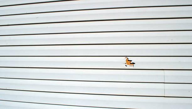 Olive Branch, MS Siding Installation Pros